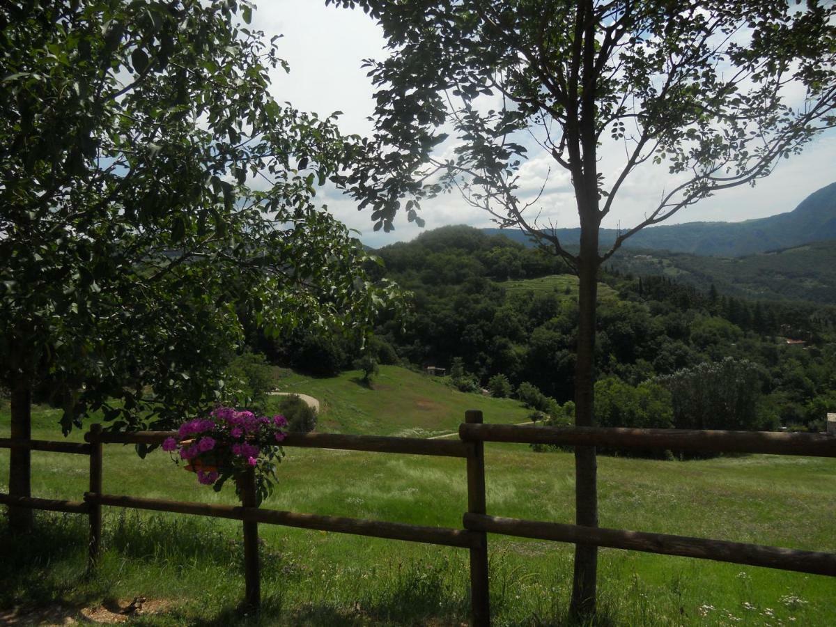 Lusani Farm stay
